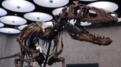 Nanotyrannus në shitje: Skelleti prej 6 milion dollarësh
