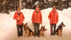 Kaninë kërkim-shpëtimi: Kanada ndalon përdorimin e qenve në male